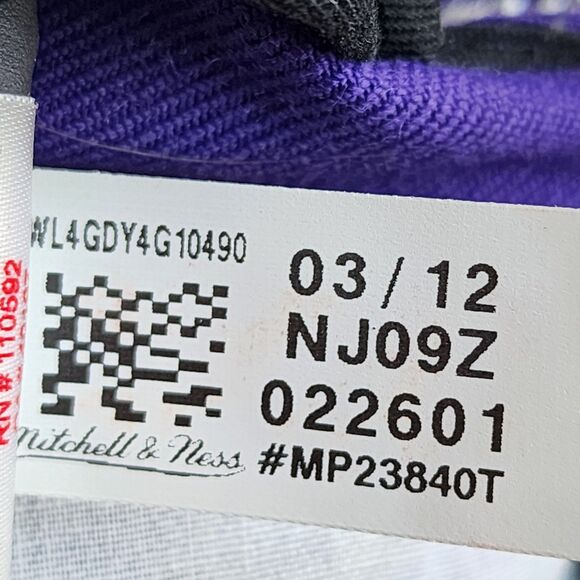 Toronto Raptors Mitchell & Ness Purple Hardwood Classics Earthquake Snapback Hat - Picture 13 of 15